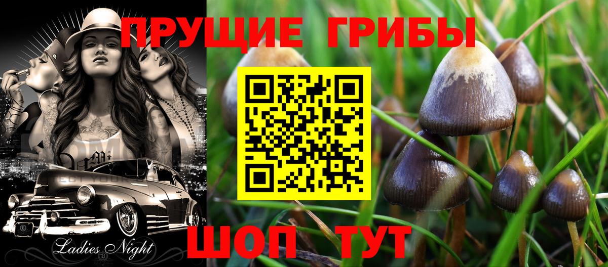 Псилоцибиновые грибы прущие грибы Домодедово