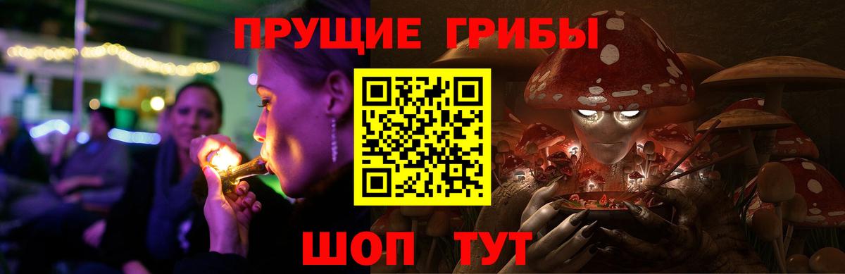 Домодедово  Псилоцибиновые грибы прущие грибы  Псилоцибиновые грибы прущие грибы  Вход с VPN 